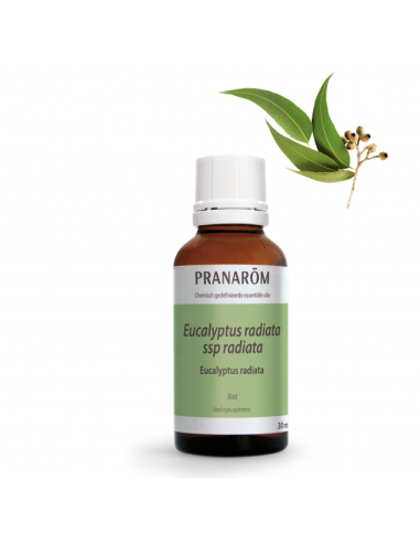 Eucalipto Radiata Hoja 30 Ml de Pranarom