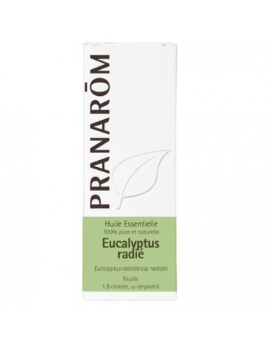 Eucalipto Radiata Hoja 100 Ml de Pranarom