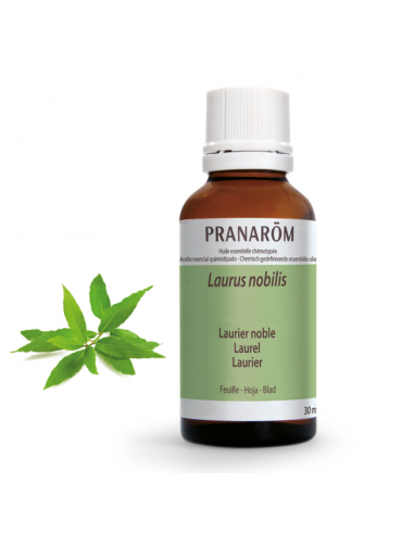 Laurel Hoja 30 Ml de Pranarom