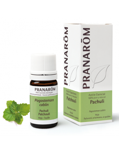 Pachuli Hoja 5 Ml de Pranarom