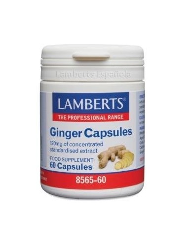 Pack de 2ud Ginger 12000Mg. Jengibre 60Cap. de Lamberts