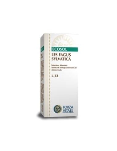 Les Fagus Sylvatica Haya 50Ml. de Forza Vitale