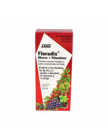 Floradix Hierro 250Ml de Salus