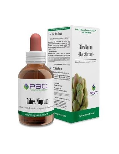 Psc Ribes Nigrum 15Ml. de Forza Vitale