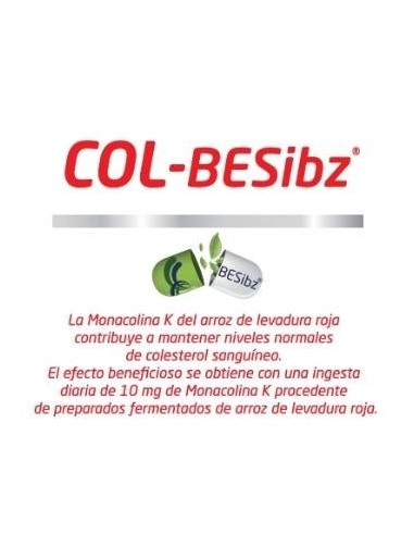 Col-Besibz 60 Comprimidos Besibz