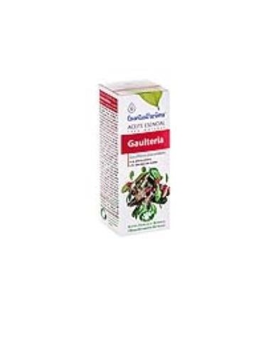 Gaultheria Aceite Esencial 10Ml. Esentialaroms de Esential A