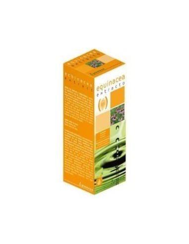 Pack de 2 unidades Ext.Echinacea S/Al 50Ml de Plameca Pack