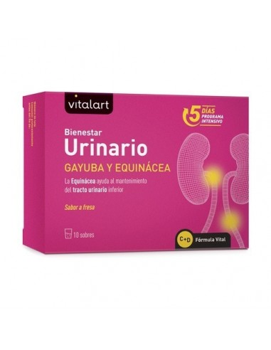 Vitalart Bienestar Urinario 10 Sobres de Vitalart