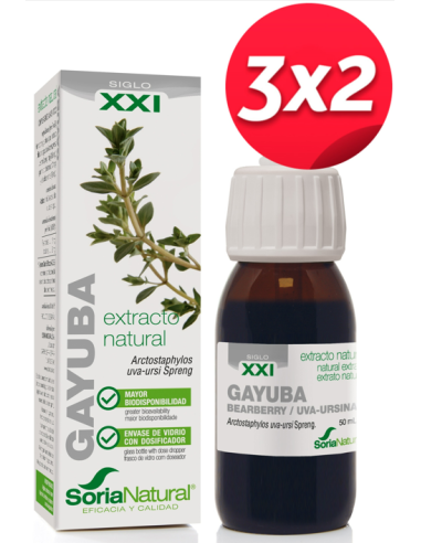 Pack 3X2 Ext. Gayuba Xxi 50Ml. S/Al de Soria Natural.