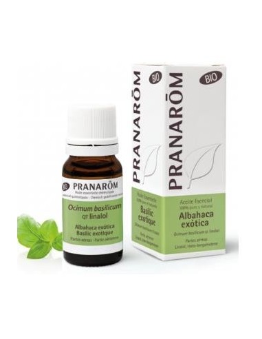 Albahaca Exotica Partes Aereas Bio (Eco) 10 Ml de Pranarom