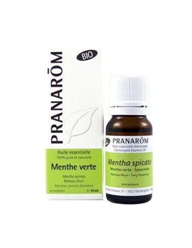 Hierbabuena Partes Aereas Bio 10 Ml de Pranarom