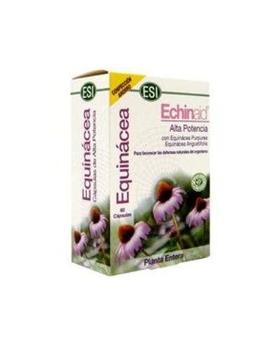 Echinaid (60 Naturcaps) De Esi