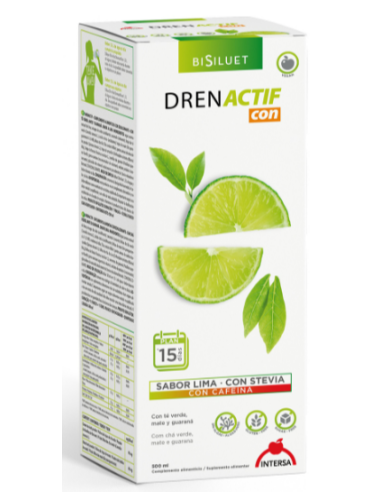 Pack 4x3 Dren Actif Te Verde Y Mate 500 Ml de Intersa