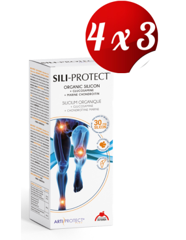 Pack 4x3 Sili-Protect 500 Ml de Intersa