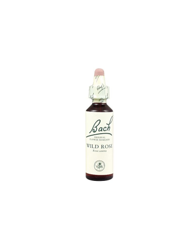 Flores Bach Wild Rose Rosa Silvestre 20Ml. de Flores Bach Or