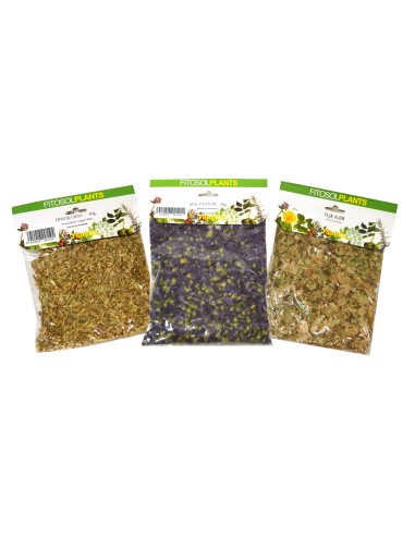 Comino grano Bio bote 20g Andunatura