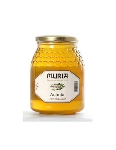 Miel De Acacia 1 Kilo Muria