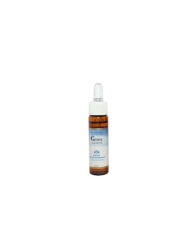 Fiori Mediterranei Gorse 10 Ml de Forza Vitale