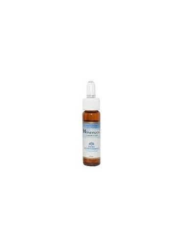 Fiori Mediterranei Honeysuckle 10 Ml de Forza Vitale