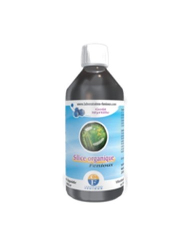 Silicio Organico 250 Ml de Fenioux