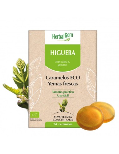 Higuera Bio 24 Caramelos de Herbalgem