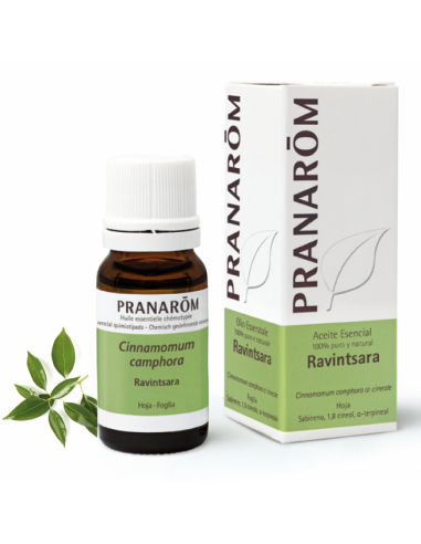 Ravintsara Hoja 10 Ml de Pranarom