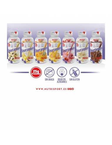 Smart Protein (Caja De 12 Botellas De 330 Ml)Galleta de Nutr