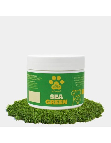 Seagreen 100G Dr Green