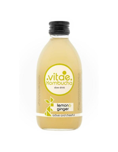 Kombucha Limón Y Jengibre Bio 250 ml de Vitae Kombucha