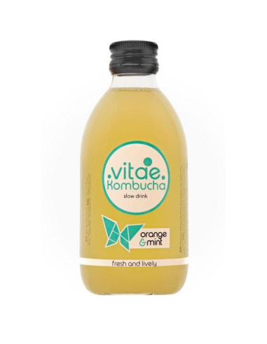 Kombucha Naranja Y Menta Bio 250 ml de Vitae Kombucha