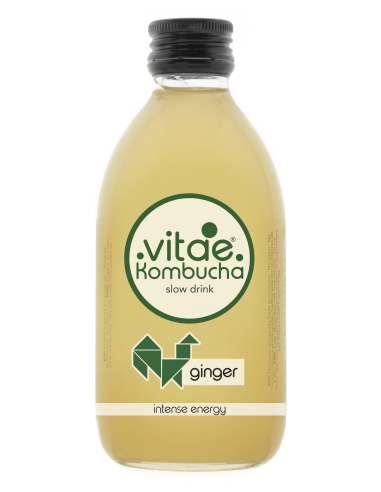 Kombucha Jengibre Bio 250 ml de Vitae Kombucha