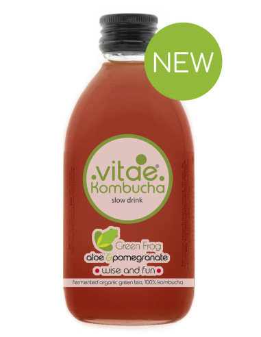 Kombucha Aloe Vera & Granada Bio 250 ml de Vitae Kombucha