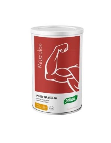 Dynamic Proteina Vegetal Vainilla 455 Gramos Santiveri