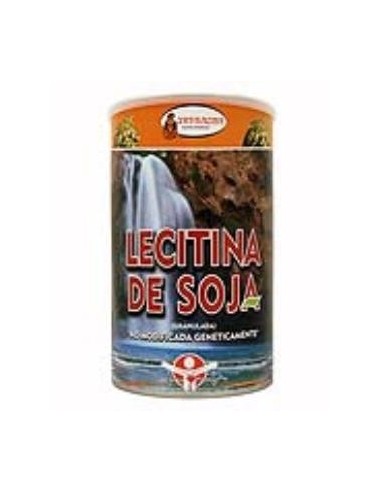 Lecitina De Soja Bolsa 400 Gramos Intracma