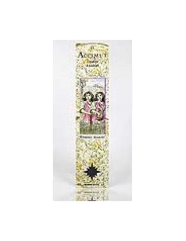 Incienso Stick Horoscopo Geminis de Radhe Shyam