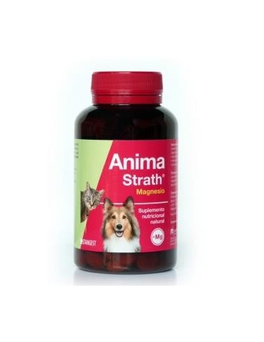 Anima Strath Magnesio Perros Y Gatos 240 Comprimidos Stangest Vet