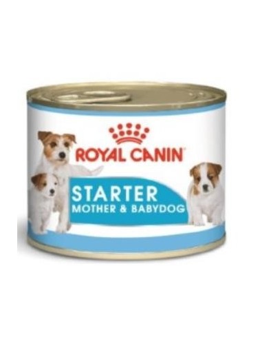 Royal Canine Starter Mother Babydog Caja 12X195 gramos de Royal Canin Veterinaria