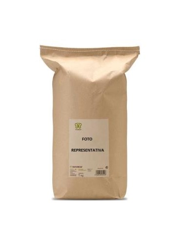 Comino Grano 1Kg. de Naturcid