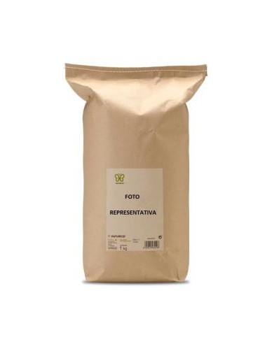 Zaragatona 1Kg. de Naturcid