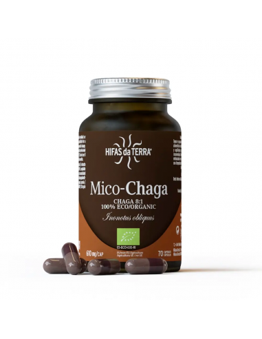 Mico-Chaga+Vit C Eco Vidrio 70C de Hifas da Terra