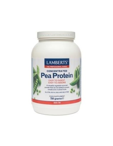 Pea Protein (ProteÃ­na de Guisante) 750 gramos 750 g de Lamberts